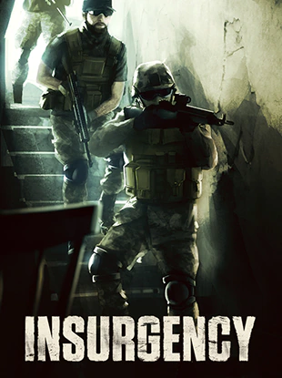 Insurgency